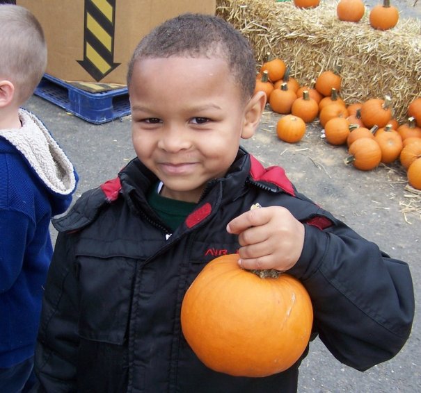 Carve Out Some Fun: 14 Pumpkin Patches to Pick-Your-Own Avisha Kassir